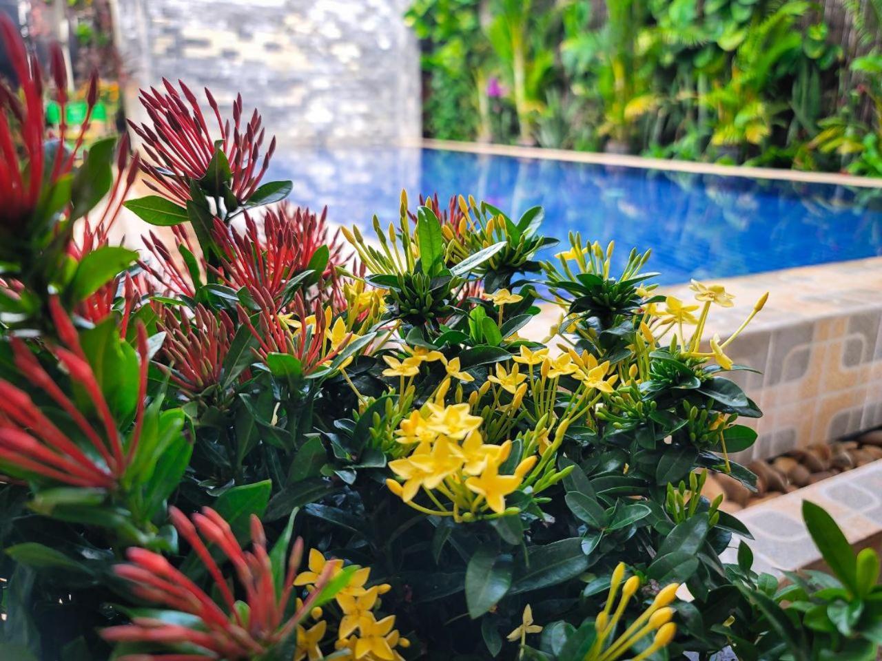 Bed & Bedzzz Hostel Siem Reap Exterior photo